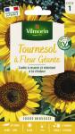 Fleurs - Tournesol à Fleur Géante - PACKAGING_RECTO
